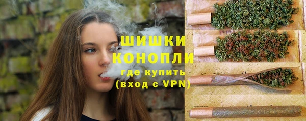 МДПВ Волосово